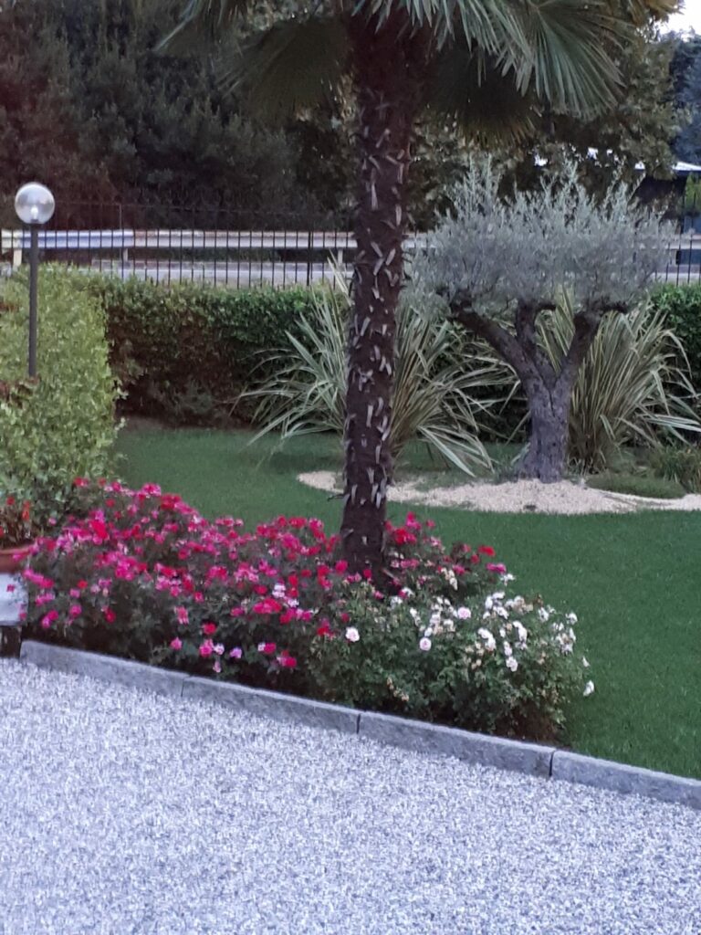 costruzionemanutenzionegiardini (37)